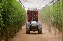 زراعت سازگار با تغییرات اقلیمی در مراکش
