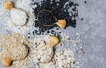 Varieties of rice
