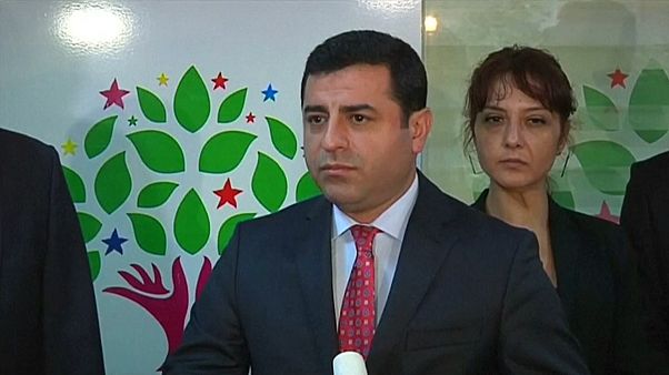 Turkey: pro-Kurdish HDP leaders 'arrested in counter-terrorism probe' Turkey: pro-Kurdish HDP leaders 'arrested in counter-terrorism probe'