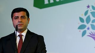 Arrests leave a 'dark stain' on Turkey's history - HDP