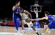 Євроліга: фіаско "Панатінаїкоса" та "Црвени Звєзди"