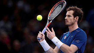 Murray reaches summit of world rankings following stunning season-long battle with Djokovic