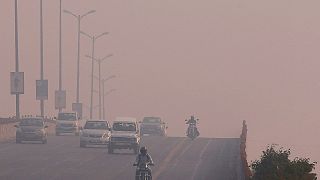 Protesters highlight New Delhi's soaring air pollution ahead of COP22