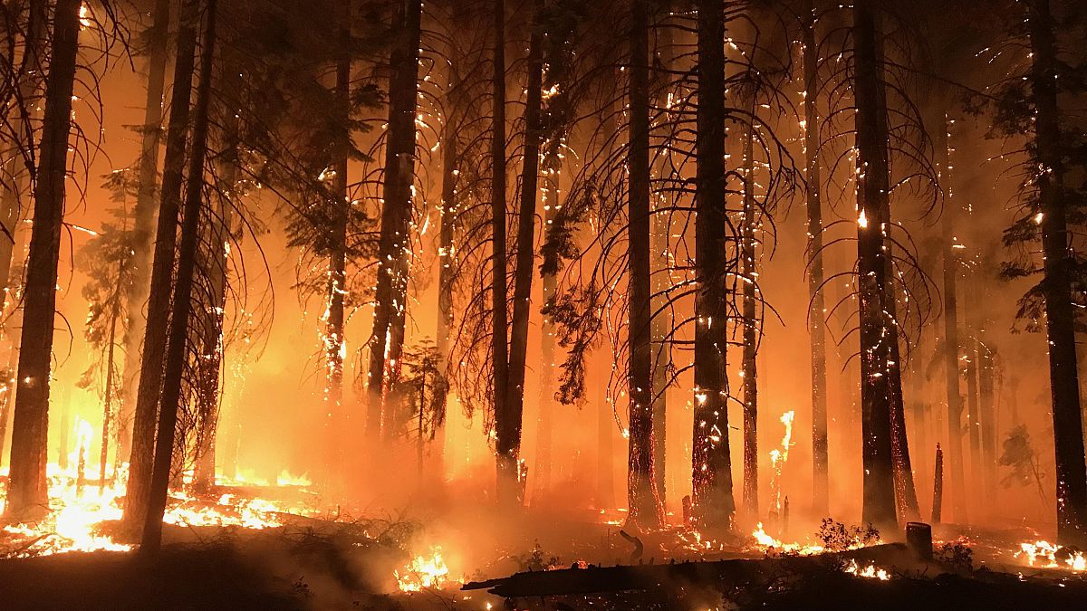Camp Fire in Northern California, the state's deadliest wildfire