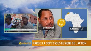 Maroc: La COP 22 sous le signe de l’action [The Morning Call]