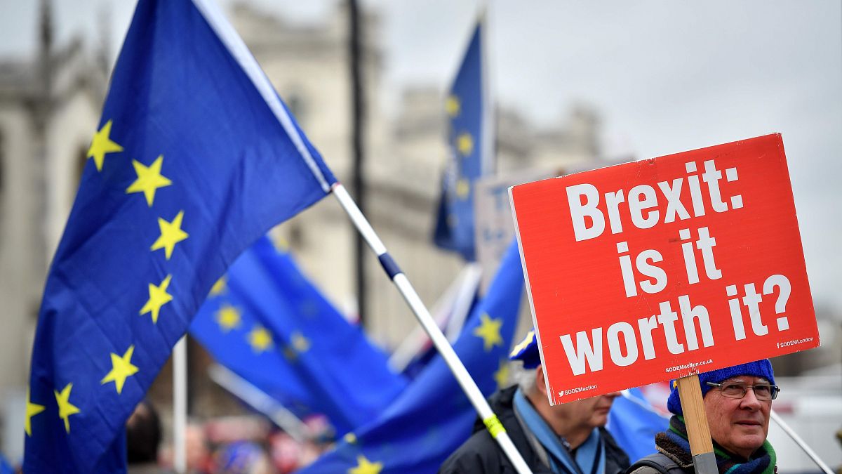 Image: A pro-E.U. demonstrator near the Houses of Parliament in London