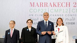 COP22: The question of application of the Paris agreement