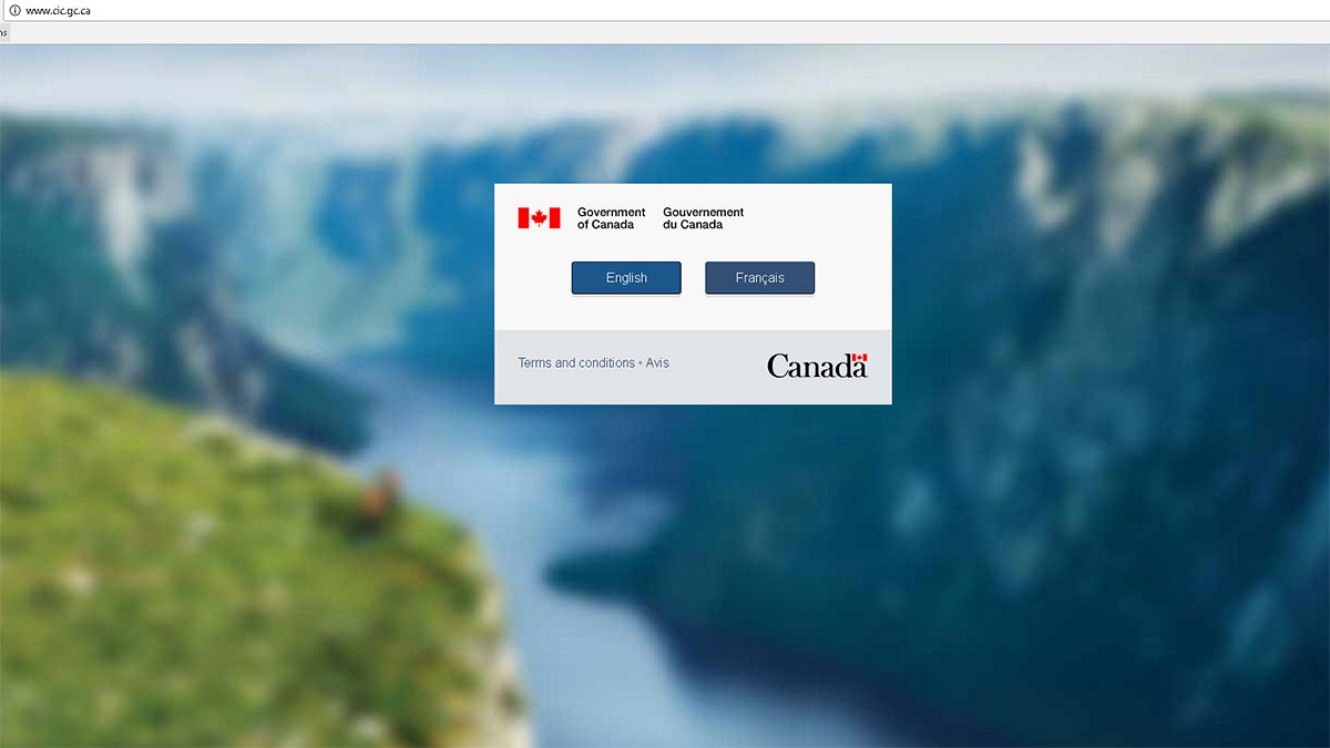 Did Trump crash a Canadian immigration website?