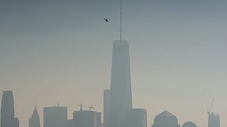 Protestas contra Trump en la CPO22