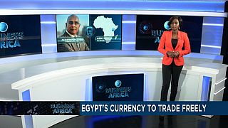 Egypt's currency trades freely, Ivorian cocoa production declines and S. Africa's whisky demand [Business Africa]