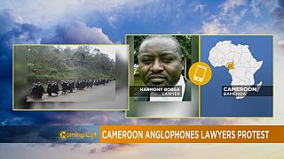 Cameroon Anglophone lawyers continue strike [The Morning Call]