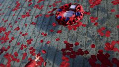 Erster Weltkrieg: Erinnerungen an die Felder in Flandern