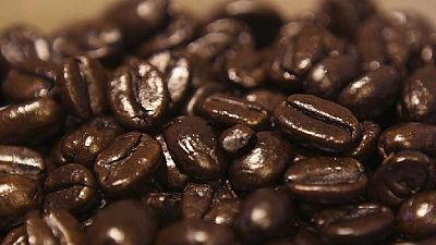 Kenyan coffee farmers strategise to improve earnings