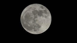 Magic moon: pictures of the supermoon
