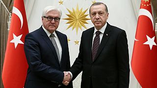 Almanya Dışişleri Bakanı Steinmeier Cumhurbaşkanı Erdoğan tarafından kabul edildi