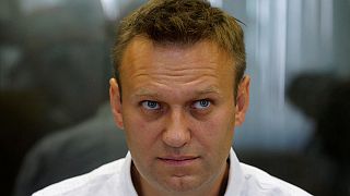 Russia's Supreme Court sends Navalny case for retrial