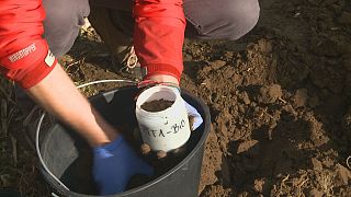 Digging deep to help Europe's soil