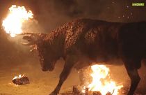 Ταύρος πυρπολήθηκε κατά την διάρκεια ισπανικού φεστιβάλ