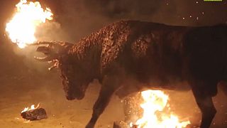 Un toro dato alle fiamme durante il festival Toro Júbilo