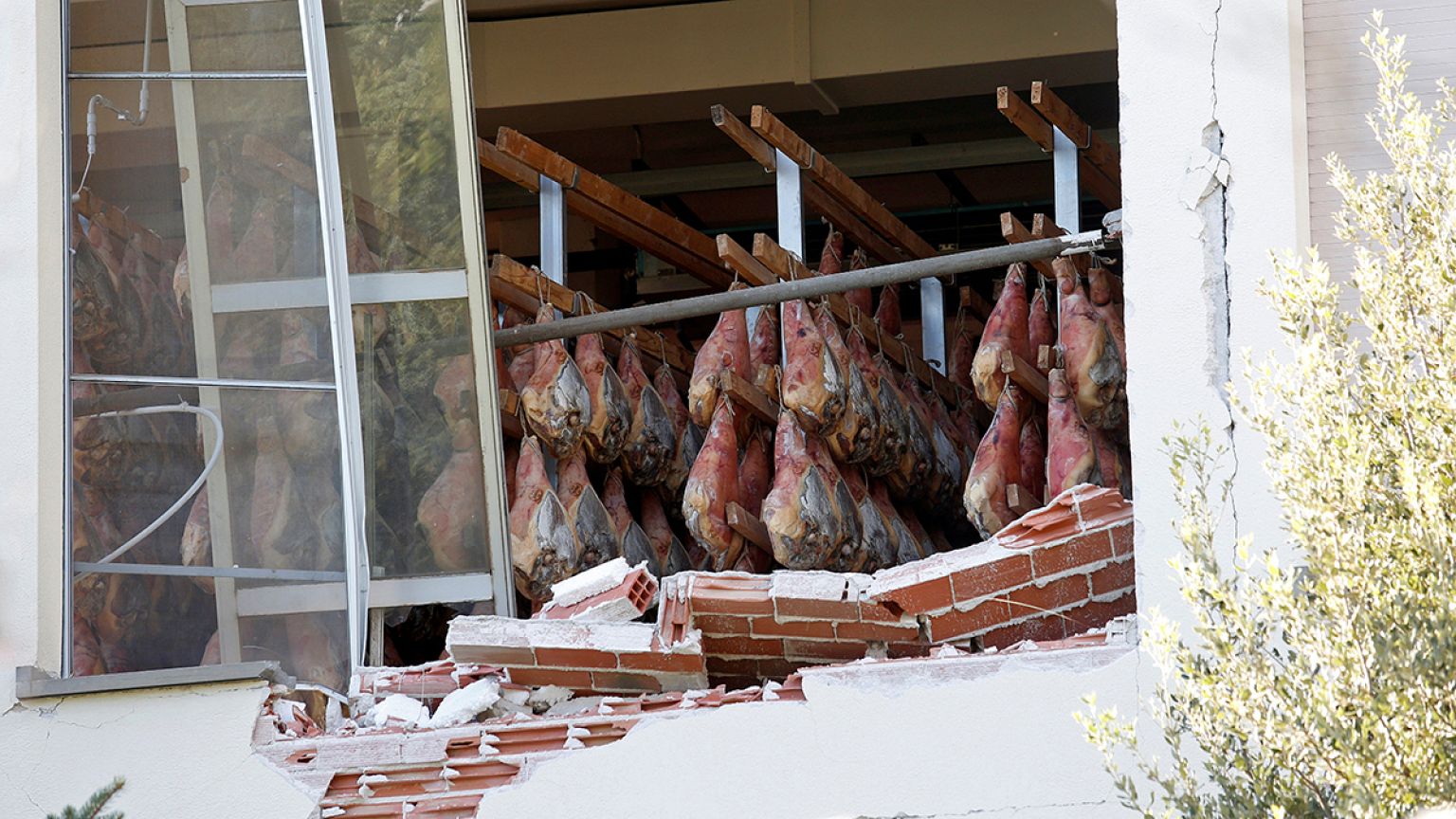 La solidarietà del prosciutto: le cosce da Norcia a San Daniele