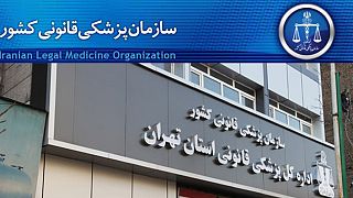 ارجاع بیش از ۹ هزار پرونده همسر آزاری به پزشکی قانونی تهران
