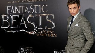 Harry Potter author J.K Rowling releases her 'Fantastic Beasts'