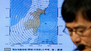 Schweres Beben vor Japan löst kleinen Tsunami aus