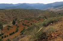 Klima: Nachhaltige Initiativen auf Marokkos Feldern