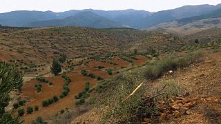 Making the most of precious water in Morocco