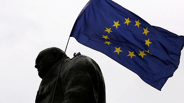 Everything you need to know about the Brexit appeal – but were afraid to ask Everything you need to know about the Brexit appeal – but were afraid to ask
