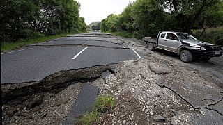 Watch: How earthquake lifted New Zealand's coastline 'up to six metres higher'