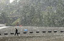 Nieva en Tokio por primera vez en un mes de noviembre desde 1962