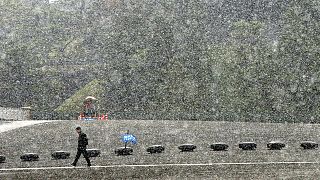 Erstmals seit Jahrzehnten: November-Schnee in Tokio