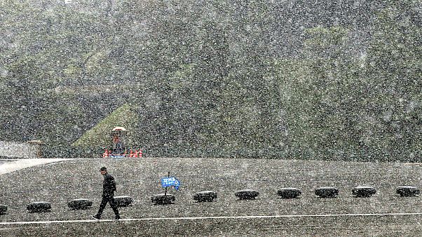 Nevica a Tokyo. Non succedeva da 54 anni a novembre Nevica a Tokyo. Non succedeva da 54 anni a novembre