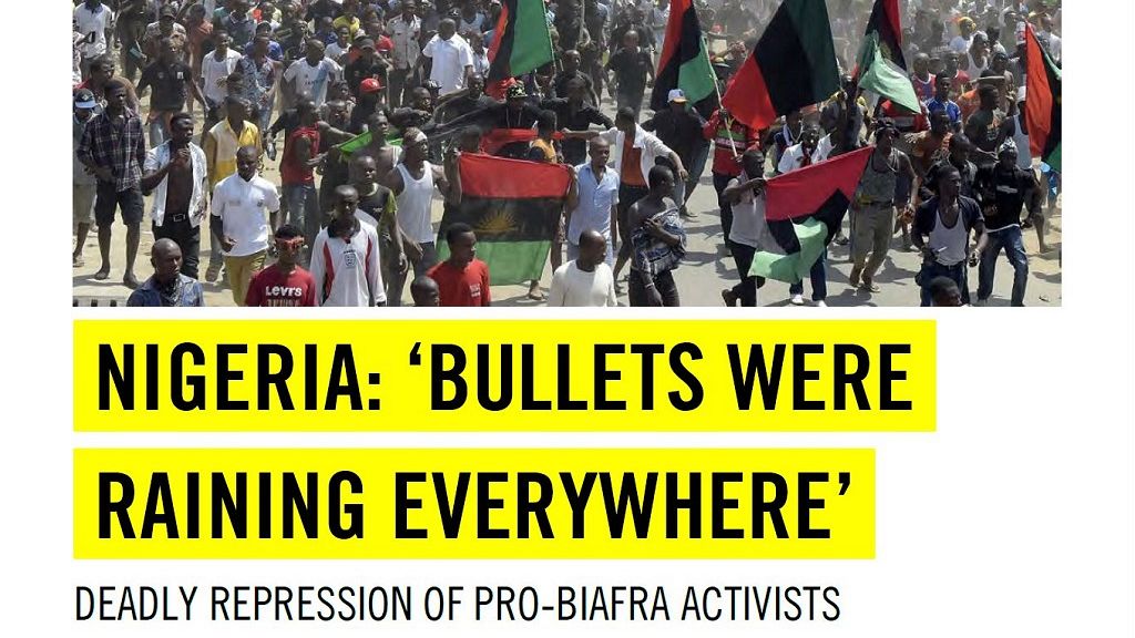 Nigerian Army 'fires' Amnesty Over 'pro-Biafra Deaths' Report | Africanews