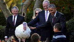 Obama begnadigt einen Truthahn