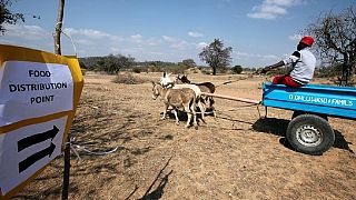 India gives $10m aid to drought hit Mozambique