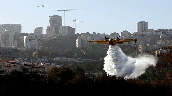 De violents incendies ravagent Israël De violents incendies ravagent Israël