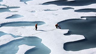 A dire climate warning for the Arctic