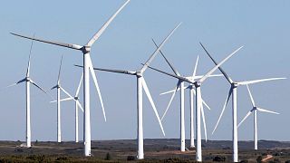 Los ecologistas, descontentos con el nuevo paquete energético de la Comisión