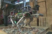 İtalyan Teknoloji Enstitüsü'nden dört ayaklı robot: HyQ