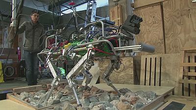 Robots que facilitan las operaciones de rescate