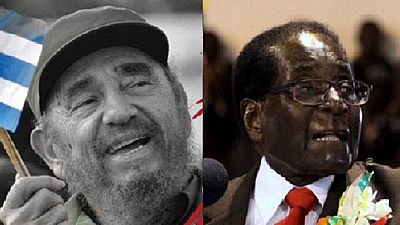 'Mugabe must learn from Castro and pass on the baton'