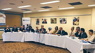 Nigéria : l'ONU double son appel aux dons