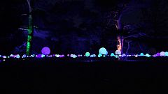 Kew Gardens im Weihnachtsglanz