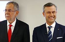 Австрия: повторный выбор нетрадиционного президента