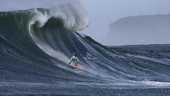 Image: Nic Lamb