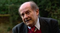 Mario Telò, profesor de la ULB: "Necesitamos una inmigración organizada"