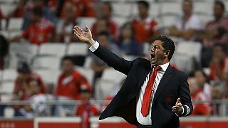 Liga Portuguesa, J12: Benfica tropeça, Sporting e Porto não perdoam