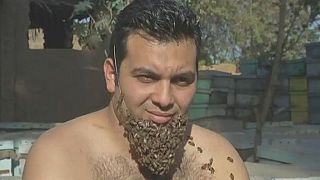En Egypte, un homme cultive une barbe d'abeilles pour sensibiliser sur le sort de ces insectes